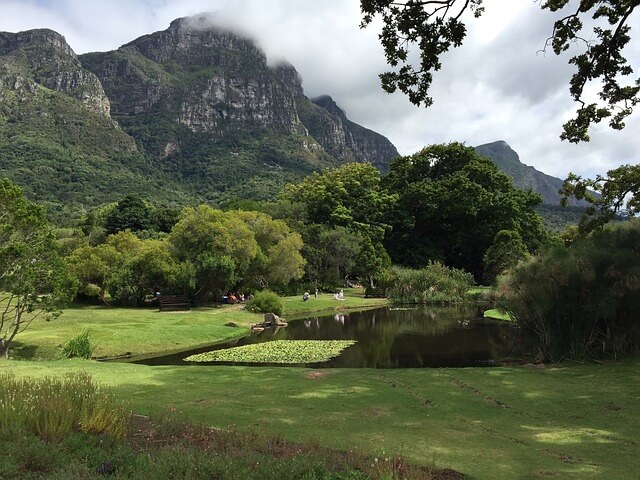 Kirstenbosch Botanical Garden in Kapstadt